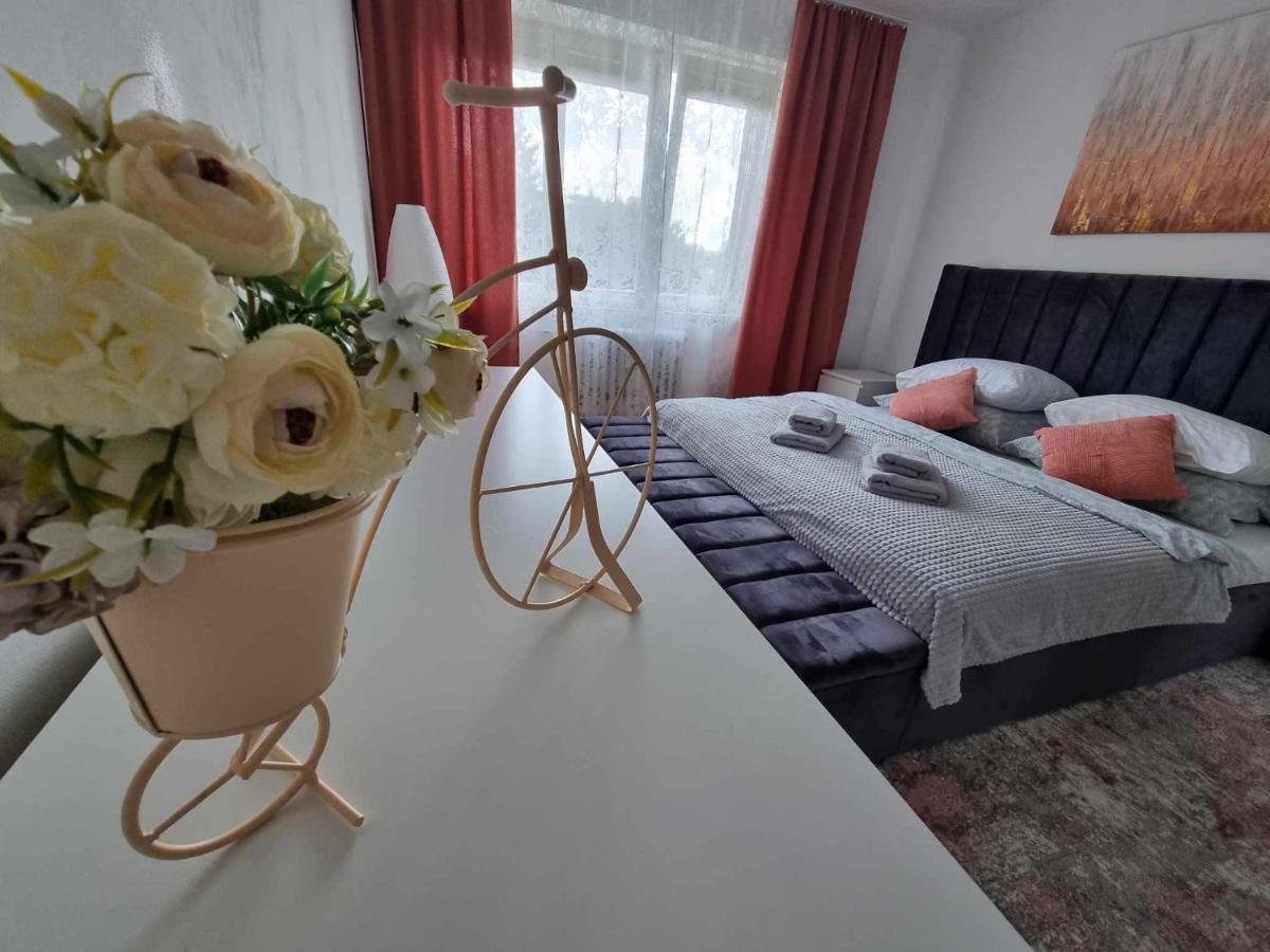 Prostorny Byt V Centru U Reky, 2 Loznice, Balkon Hradec Kralove Bagian luar foto