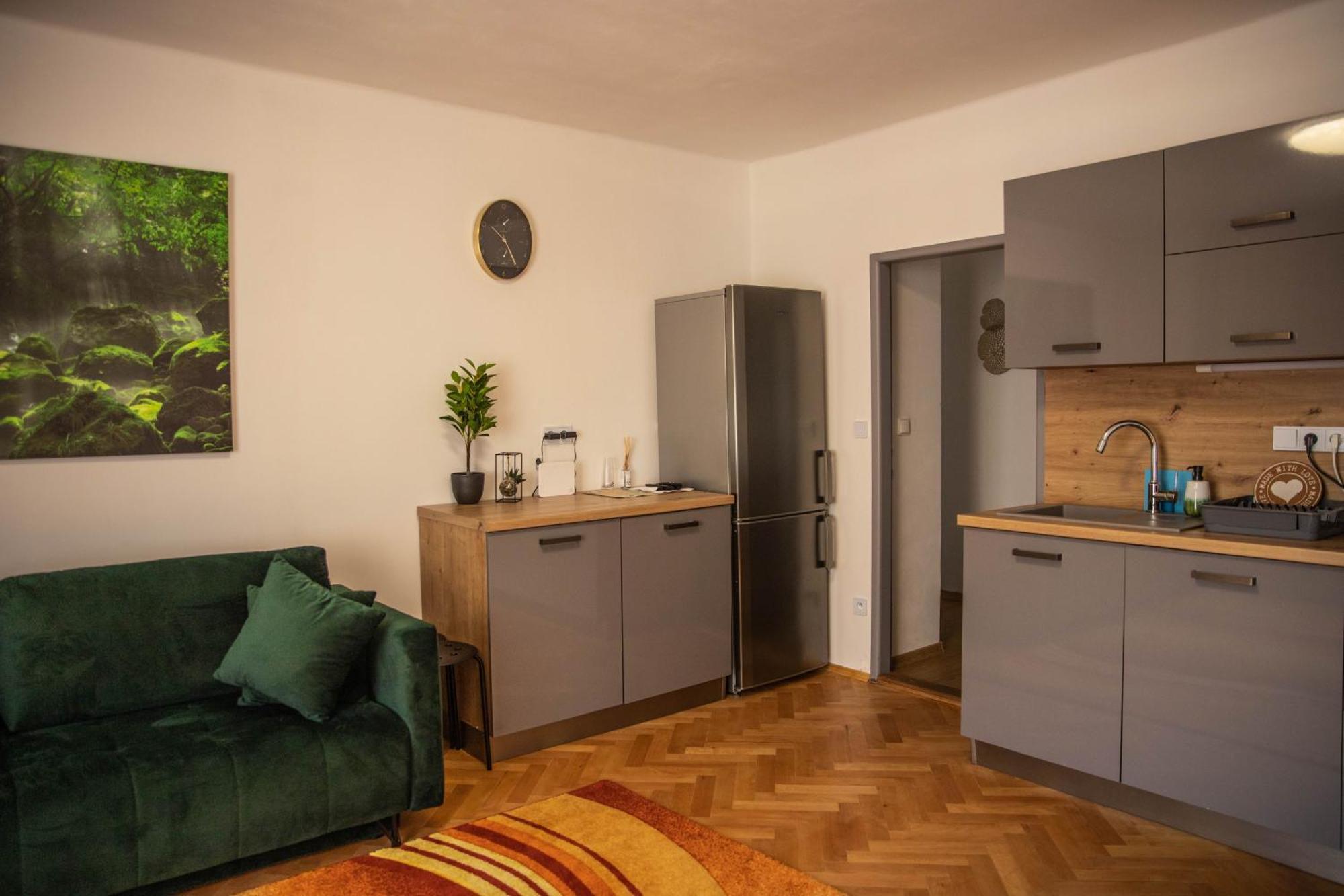 Prostorny Byt V Centru U Reky, 2 Loznice, Balkon Hradec Kralove Bagian luar foto